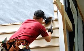 Best Custom Trim and Detailing for Siding  in Rockwood, MI